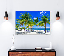 Obraz Palmová pláž